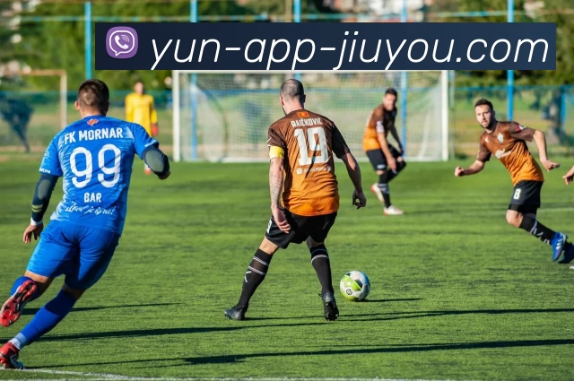 九游体育官网发展历程